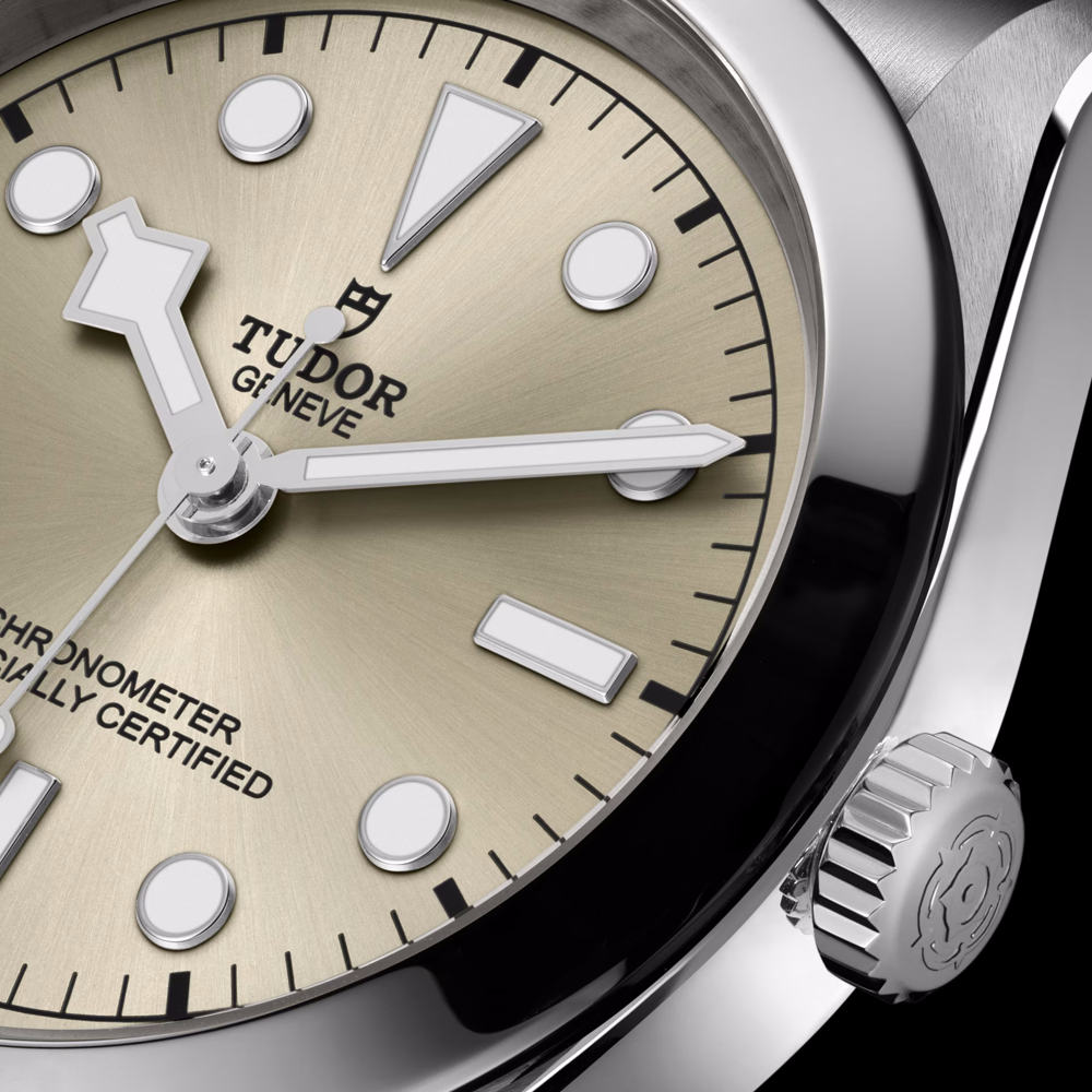 TUDOR Black Bay 39 - M79660-0003