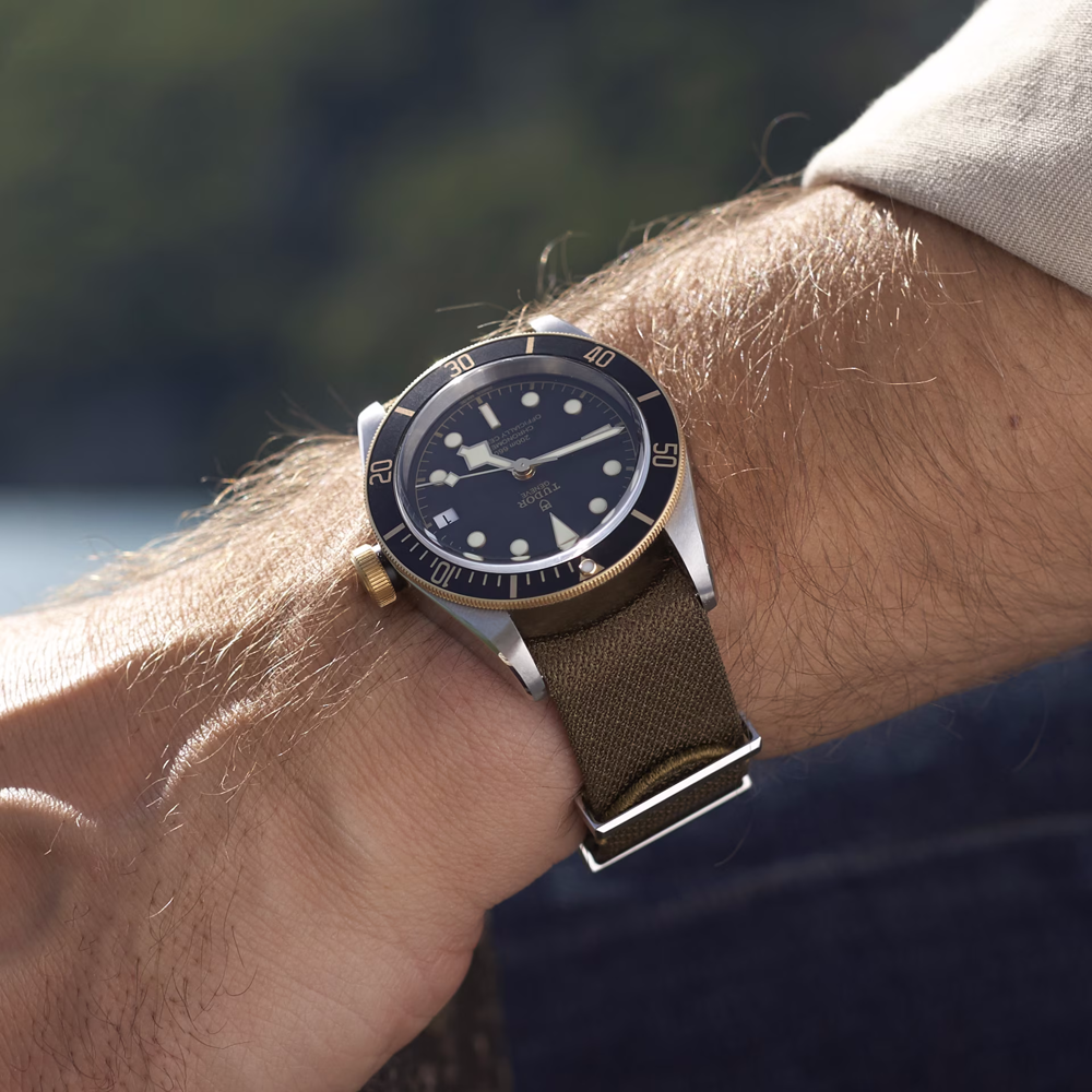TUDOR Black Bay S&G - M79733N-0005