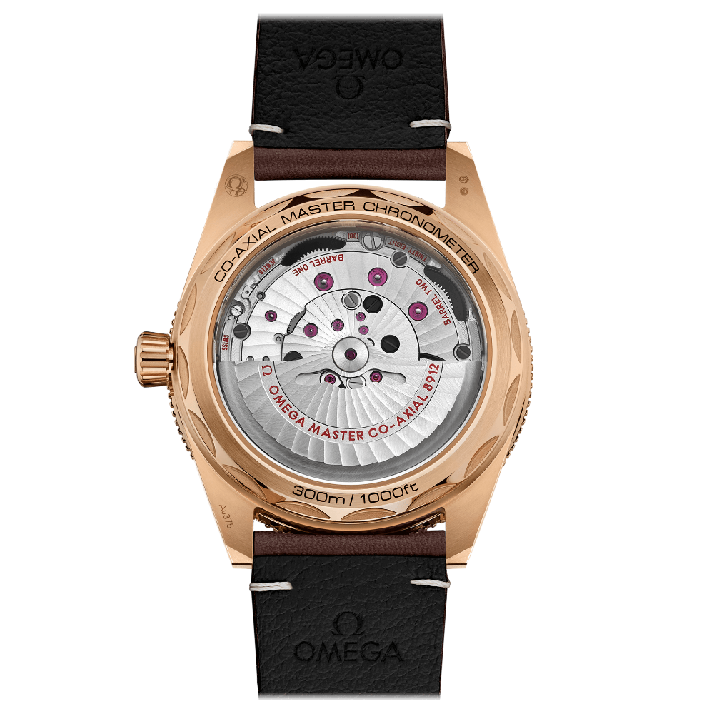 OMEGA Seamaster 300 Bronze-Gold Co‑Axial Master Chronometer 41mm 234.92.41.21.10.001
