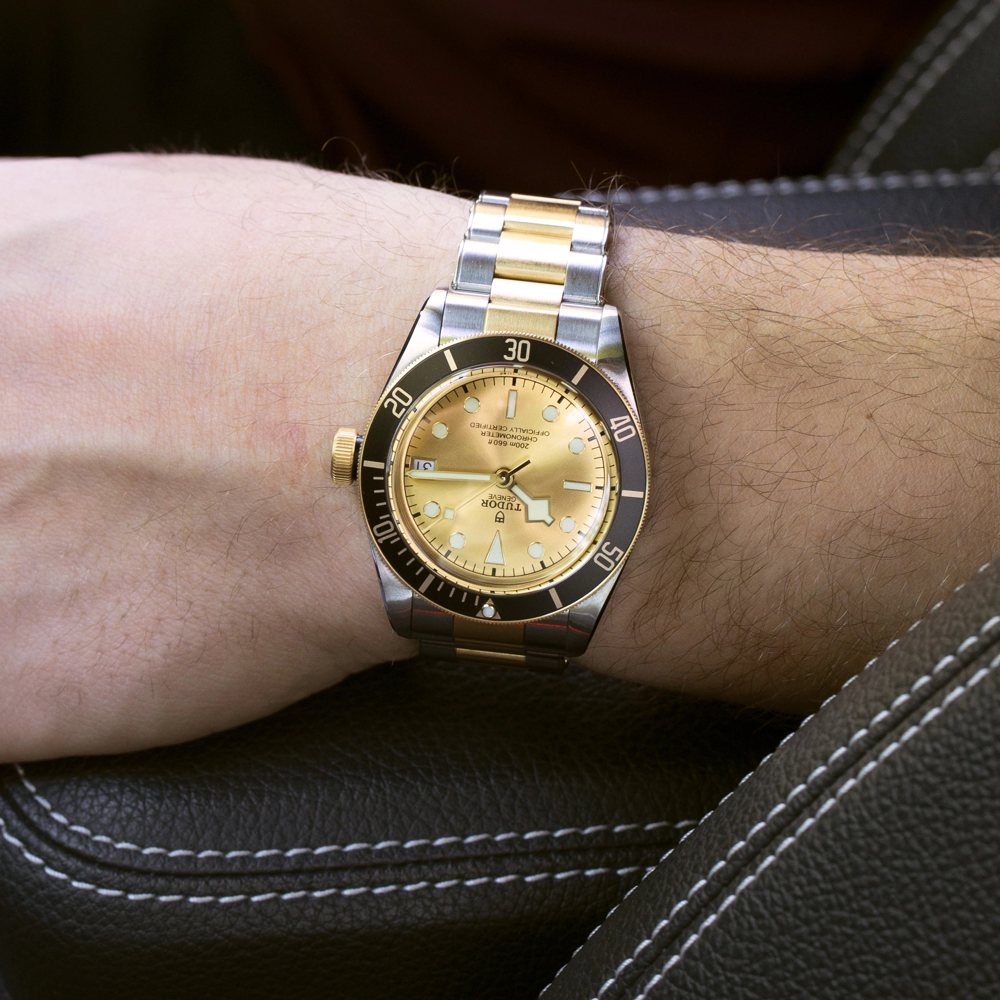 TUDOR Black Bay S&G - M79733N-0004