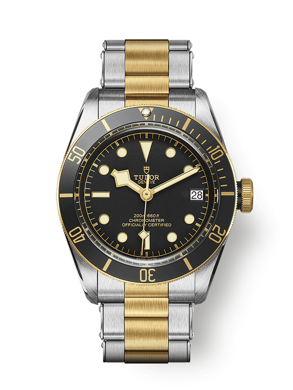 TUDOR Black Bay S&G - M79733N-0008