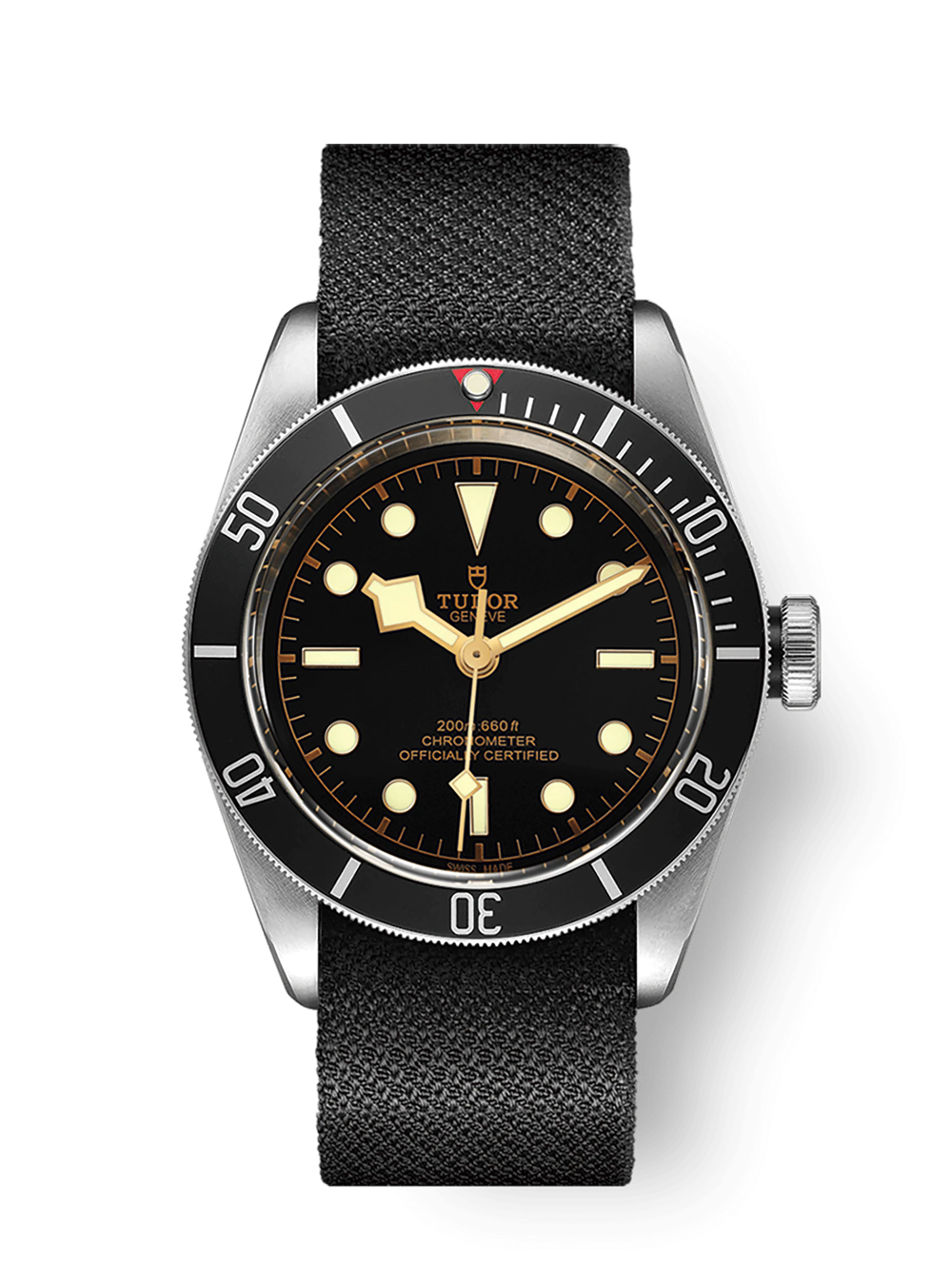 TUDOR Black Bay - M79230N-0005