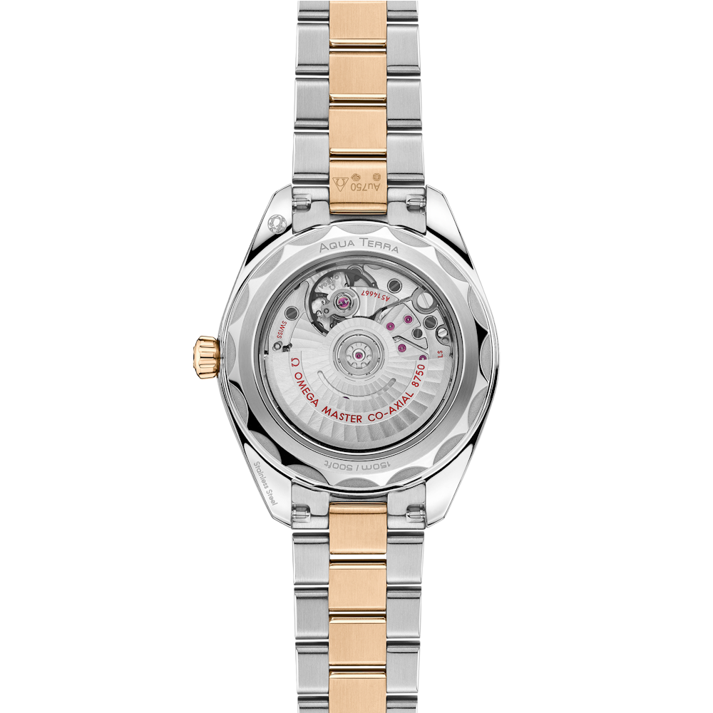 OMEGA Seamaster Aqua Terra 150M 30mm 220.25.30.20.55.001